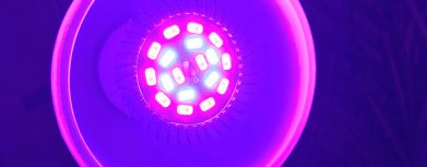 Gut sichtbare SMD-LED in einer Grow LED
