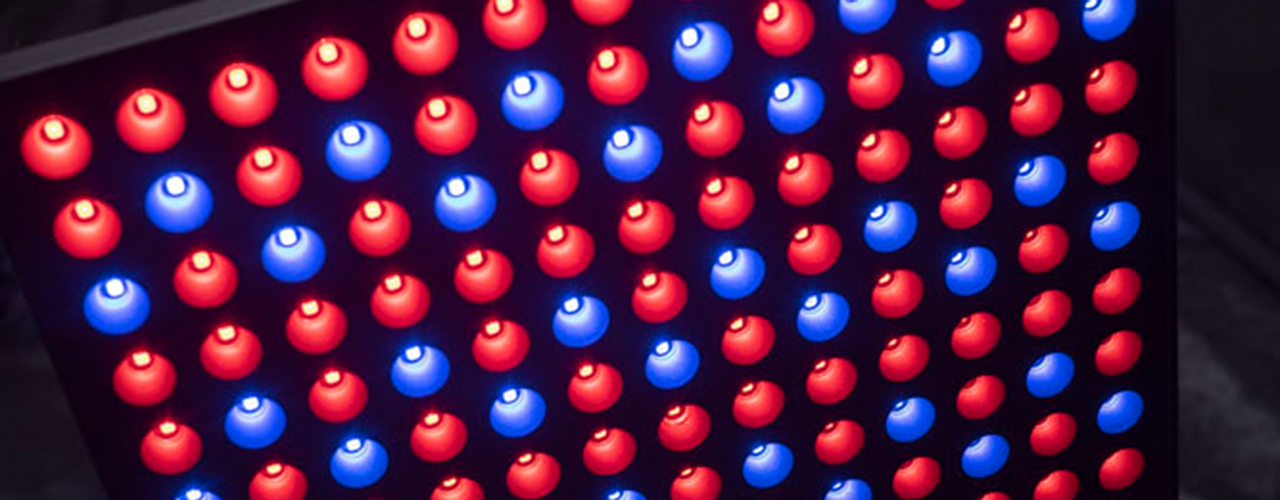 Roleadro LED Pflanzenlampe mit Zeitschaltuhr 75w Pflanzenlicht Led Grow Lampe mit Rot Blau Licht pflanzenleuchte fur Pflanzen Wachstum im Gewächshaus Wachstumslampe 